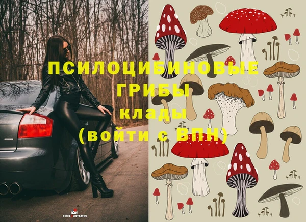 мяу мяу мука Пролетарск