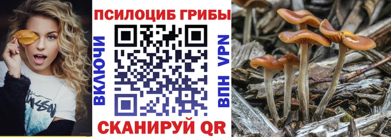 цены   ссылка на мегу   Псилоцибиновые грибы мицелий  Усть-Илимск 